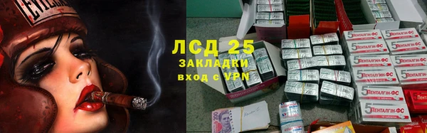 PSILOCYBIN Алексеевка
