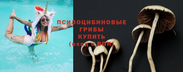 PSILOCYBIN Алексеевка