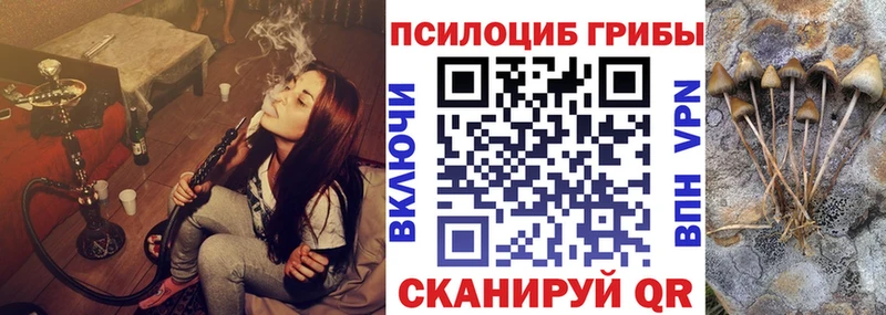 Галлюциногенные грибы Psilocybine cubensis  Дубна 